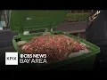San Francisco businesses throw out food amid power outage
