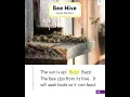 Start Right Reader Bee Hive