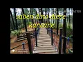 Download Lagu Kahanane wong ra ndue