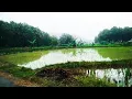 Download Lagu Lestari Desaku Lestari Alamku(boomerang- berita cuaca) ojo lali subscribe lurr...