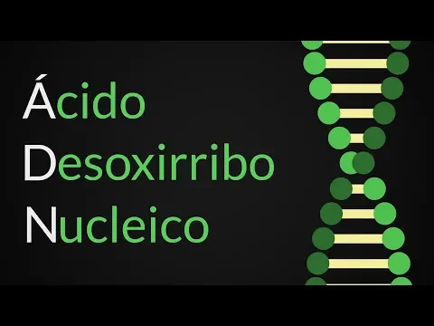 Download MP3 ¿Qué es el ADN? ¿Cuál es su estructura y composición? | Hidden Nature