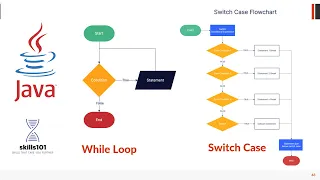 Switch Case Statement and While Loop in Java with Example Hindi