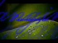Apo Hiking Society - Panalangin  (with lyrics)