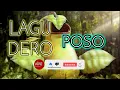 Download Lagu LAGU DERO DJ TERBARU || DERO POSO TERBARU || DERO REMIX