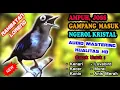 Download Lagu MASTERAN RAMBATAN LORENG GACOR - SUARA RAMBATAN DORAEMON GACOR NGEROL SPEED RAPAT KRISTAL