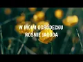 Download Lagu W Moim Ogródecku - REDLIN