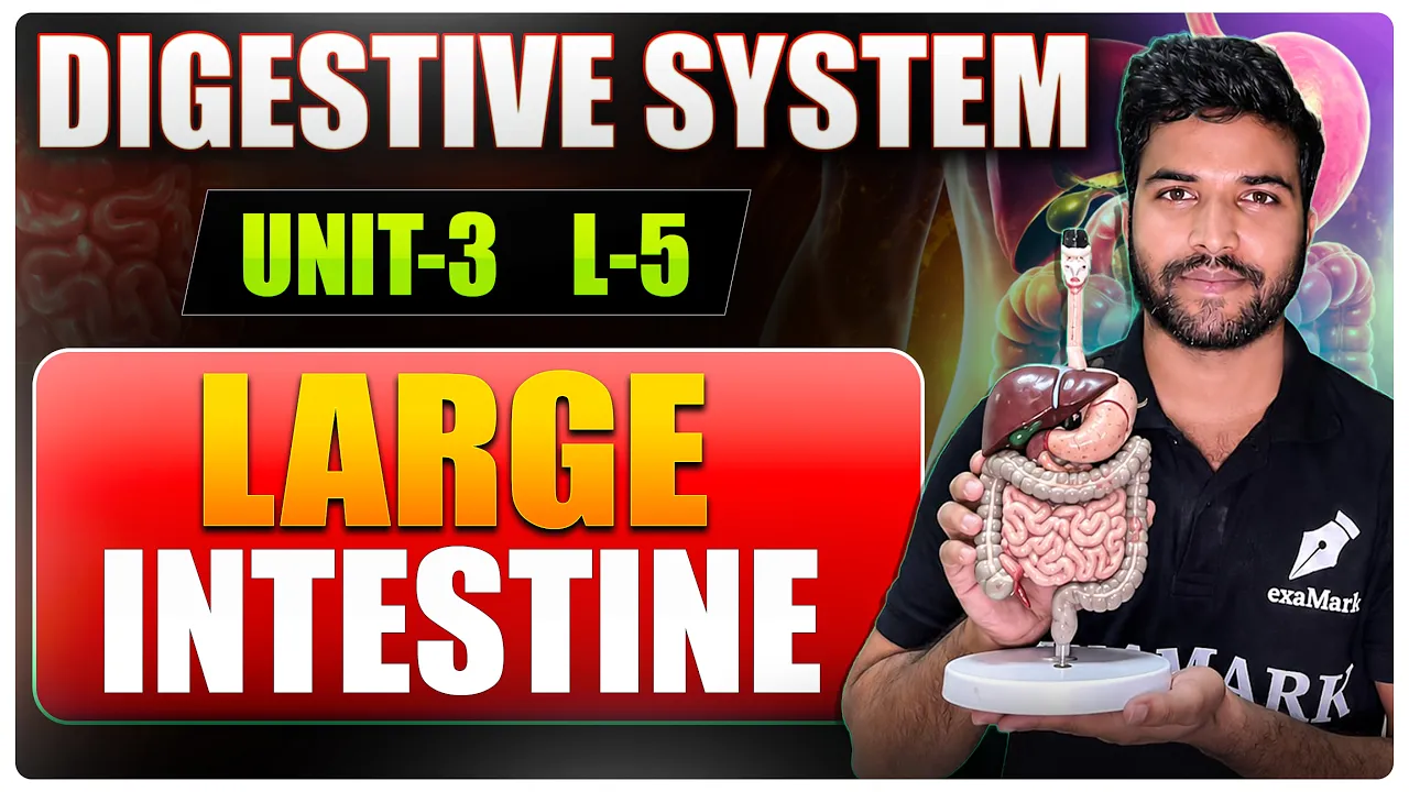 Large Intestine || Digestive System || L-5 ||Anatomy and Physiology || Bsc Nursing