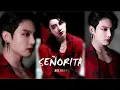 Download Lagu jeon jungkook - Señorita [FMV]