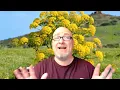 Mad Facts Silphium