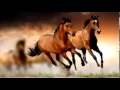 Download Lagu horse running sound effects - efek suara kuda berlari