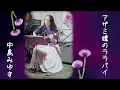 『アザミ嬢のララバイ』中島みゆき