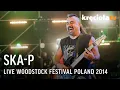 Download Lagu SKA-P LIVE Woodstock Festival Poland 2014 (FULL CONCERT)