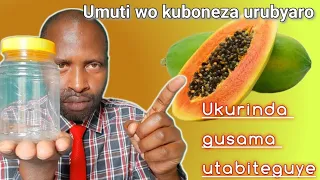 Umuti Wo Kuboneza Urubyaro Ukakurinda Gusama Inda Itateguwe  Umuti Wo Kuboneza Urubyaro Ukakurinda Gusama Inda Itateguwe