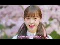 害羞胖 BOOKKU DDOONG  - 呆瓜 SSOOK DDOONG (feat. 磪有情 of Weki Meki) (華納官方中字版)
