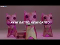Lenar, Leonardo P - Montagem Miau (Slowed + LETRA) | ay mi gatito miau miau