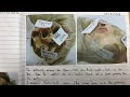 Student Lab Book RQ5