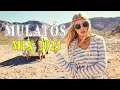 Download Lagu Legjobb magyar mulatós mix 2023 ☘️💝 Nagy Mulatós Mix 2023 ☘️💝 Legjobb dal 2023 💝 Zene mindenkinek