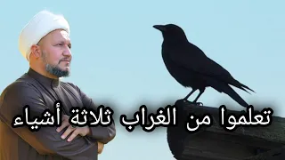 تعلموا من الغراب ثلاثة أشياء دندنها