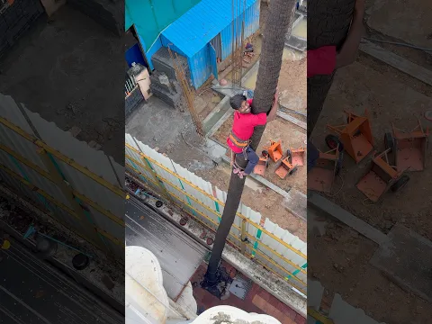 வியந்து பார்க்கும் அளவுக்கு தென்னை மரம் இழுத்து கட்டி உள்ளோம்