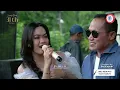 Download Lagu Rhosad \u0026 Erika - Dasi dan Gincu | Familys Group Edisi Menyambut Tahun Baru 2025