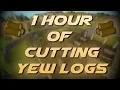 Cutting Yew Logs Testing OSRS Wiki Money Making Methods