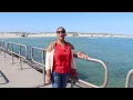 Lively Beach Resort Padre Island Jetties