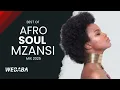 AFROSOUL MZANSI MIX 2025 VOL 35 | Dj Webaba
