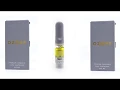 OZONE Ascend Wellness