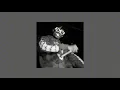 Playboi Carti - Molly Slowed To Perfection [Puls Intro]