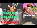 Download Lagu Wajib Coba Umpan Lele Paling Gacor Andalan Saya
