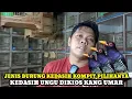 Lagu JENIS BURUNG KEDASIH KOMPLIT!!UPDATE HARGA BURUNG,AYAM,DAN KELINCI DIKIOS UMAR PASAR BURUNG PRAMUKA