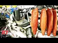 Download Lagu Tahapan Proses Peternakan Salmon Modern Yang Terkenal di Norwegia Yang Menarik dan Luar Biasa