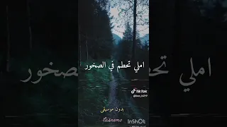 حلمي تحطم واختفى بدون موسيقى Without Music 