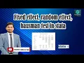 Performing the Hausman Test for Fixed and Random Effects in Stata
