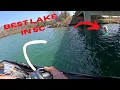 THIS HAS TO BE THE BEST LAKE IN SOUTH CAROLINA Pre-spawn Bass Fishing