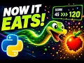 Now It Eats Food Collision System Python Snake Game AuraLith Frontier