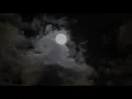 Andrei Poliakov - Moonlight