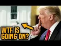Download Lagu Bags THROWN OUT of White House window