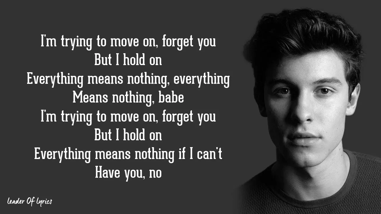 Shawn Mendes - IF I CAN'T HAVE YOU (Lyrics)