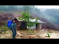 Lagu Fuii Video, 5 years of building a life in the forest, growing vegetables, building a house