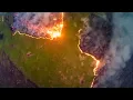 Download Lagu The Tragedy Of Deforestation | Climate Change: The Facts | BBC Earth