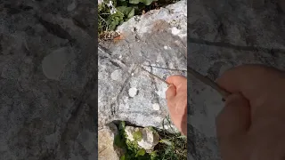 تحليل المثلث تحليل كنوز قبر كنوز ودفائن 