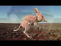 Animaux disparus méconnus - Partie 2