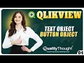 Creating and Configuring Button Object and Text Object in QlikView Session - 04