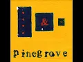 Need 2 (slow pinegrove)