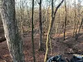 Illinois Deer Hunt November 2024