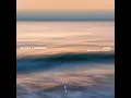 Zima - Sultan + Shepard & Delhia De France