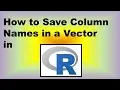 How to Save Column Names in a Vector in R - Demonstration