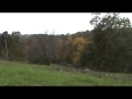 3676 Renaker Berry Road Land for Sale in Harrison County Kentucky