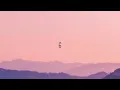 Love Is Gone (lyrics)